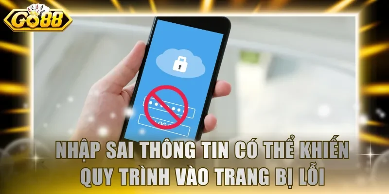 Nhập sai thông tin có thể khiến quy trình vào trang bị lỗi